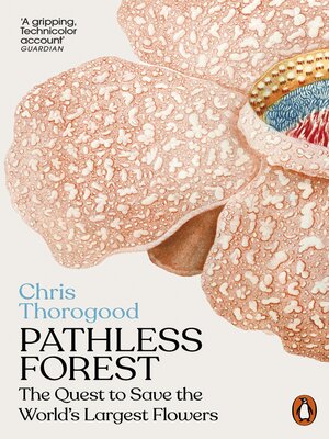 cover image of Pathless Forest